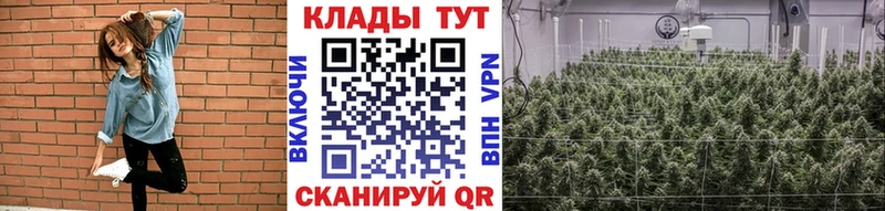 Виды наркотиков купить Луховицы Бошки Шишки  OMG ссылки  NBOMe  ГАШ  Мефедрон  АМФ  Псилоцибиновые грибы 