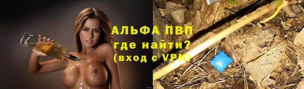 spice Арсеньев