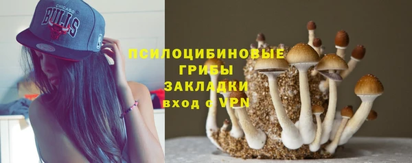 трава Армянск