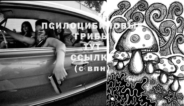 spice Арсеньев