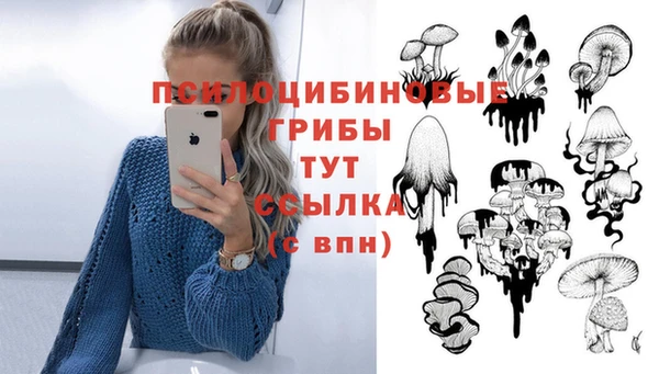 трава Армянск