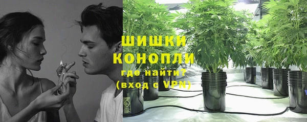 трава Армянск