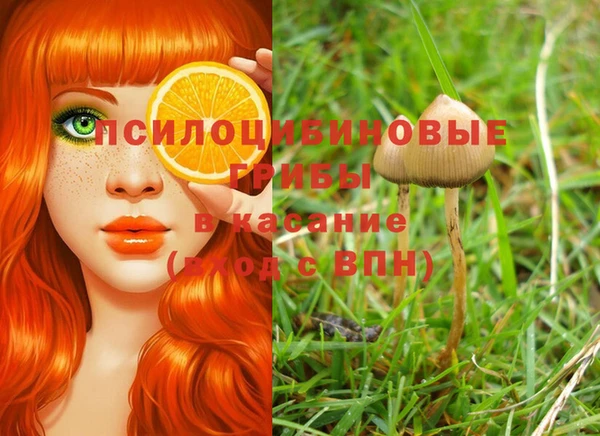 мет Аркадак