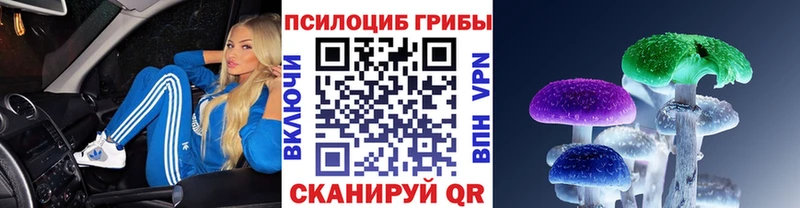 Псилоцибиновые грибы прущие грибы  блэк спрут сайт  Луховицы 